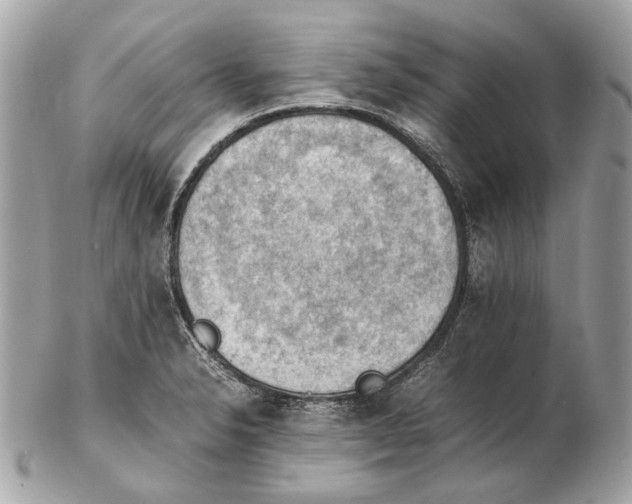 X0000102391326200808291415