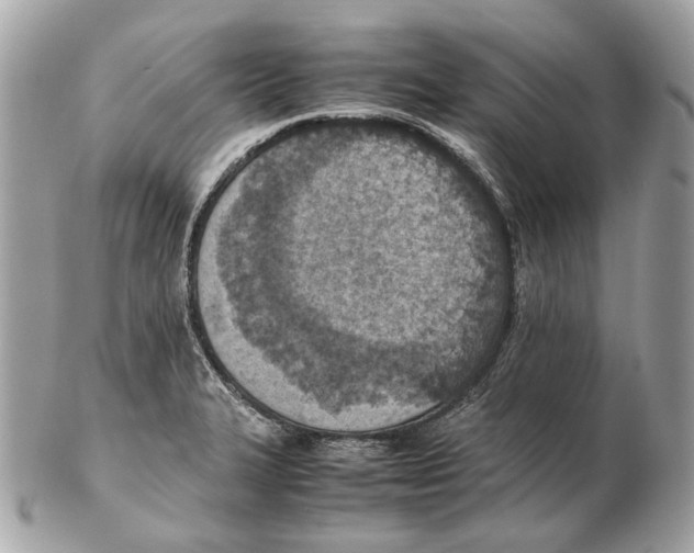 X0000102391327200808291415