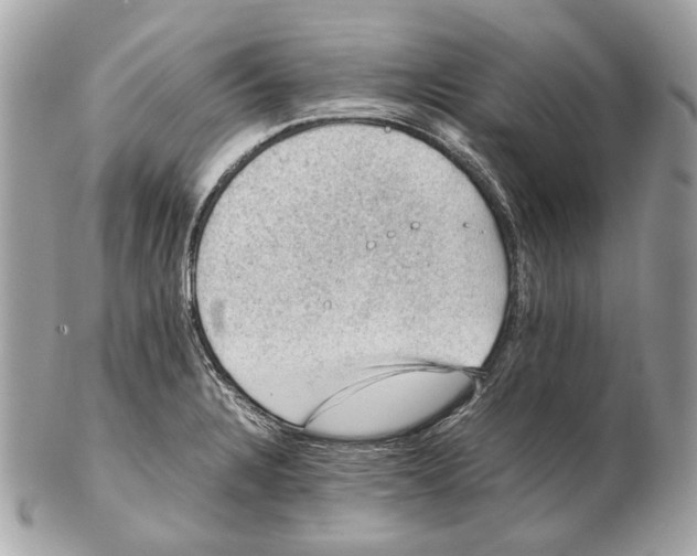 X0000102391328200808291415