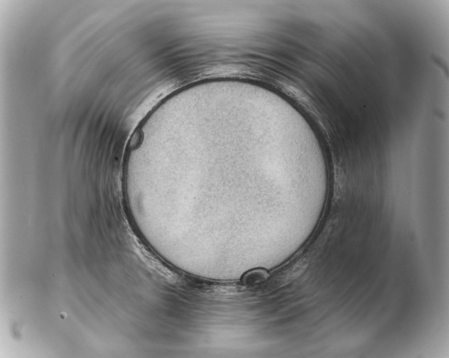 X0000102391330200808291415