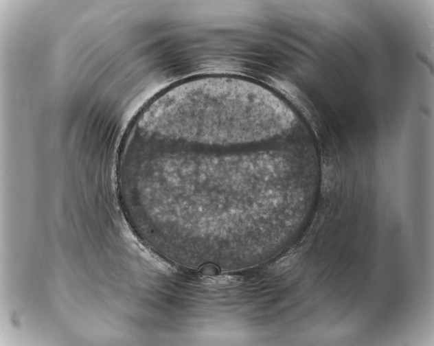 X0000102391331200808291415