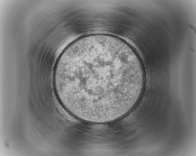 X0000102391333200808291415