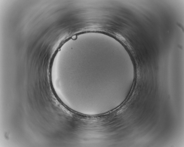X0000102391334200808291415