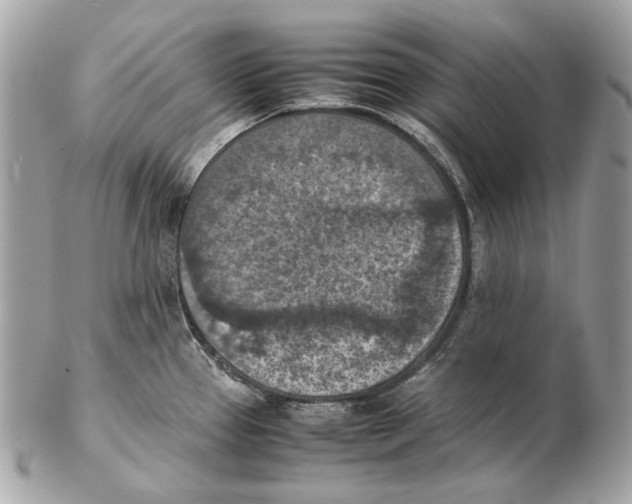 X0000102391337200808291415