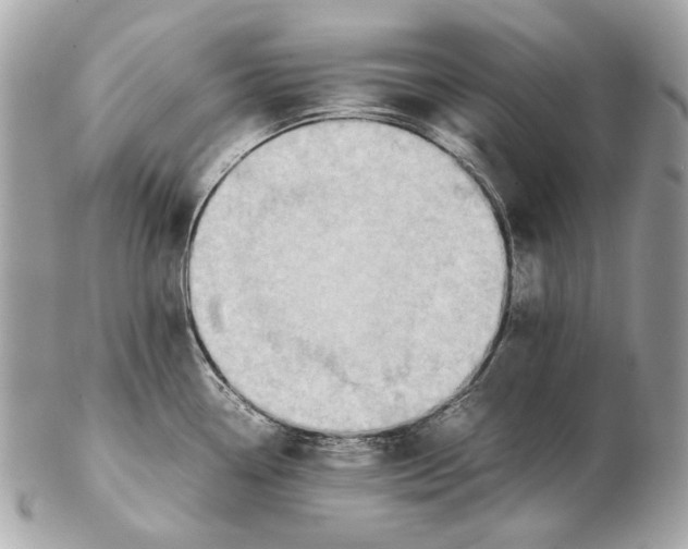 X0000102391338200808291415