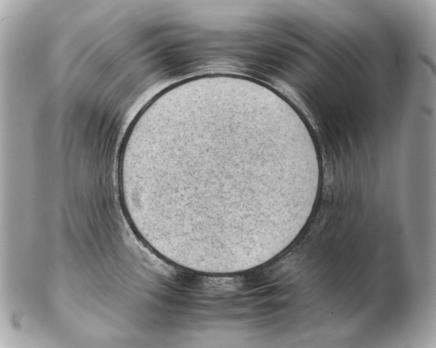 X0000102391339200808291415