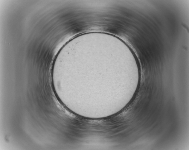 X0000102391341200808291415