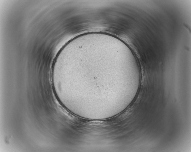 X0000102391342200808291415