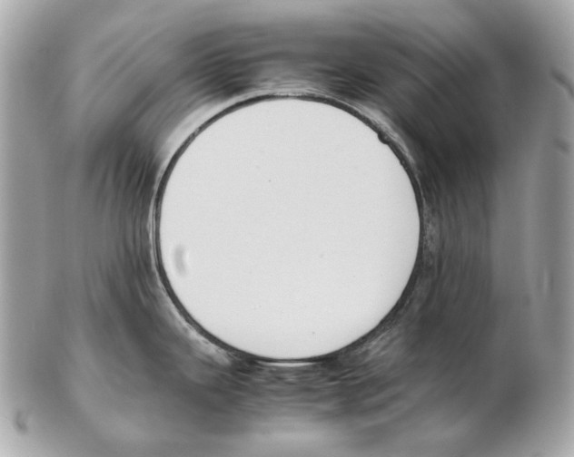 X0000102391343200808291415