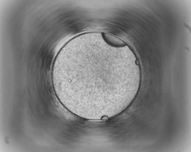 X0000102391344200808291415