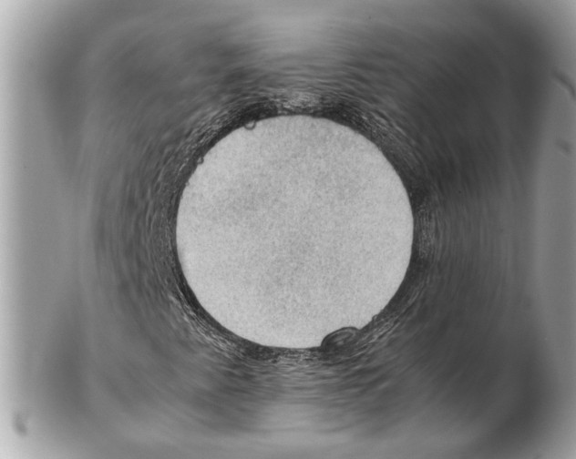 X0000102391345200808291414