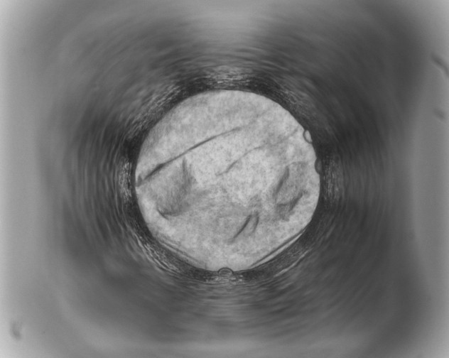 X0000102391346200808291414