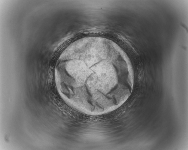 X0000102391350200808291414
