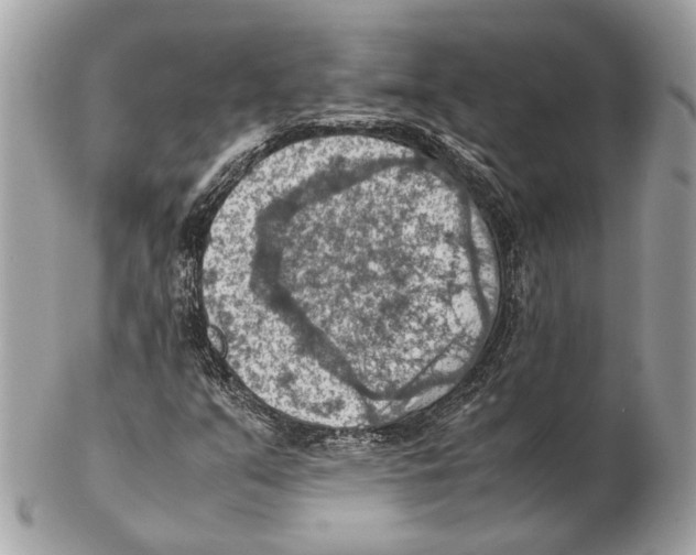 X0000102391351200808291414