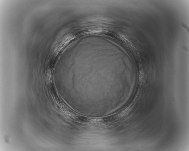 X0000102391353200808291414