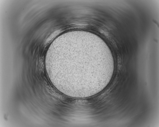 X0000102391354200808291414