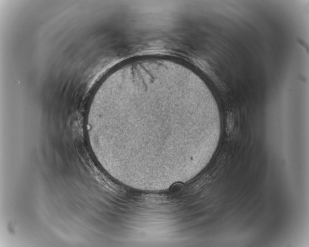 X0000102391356200808291414