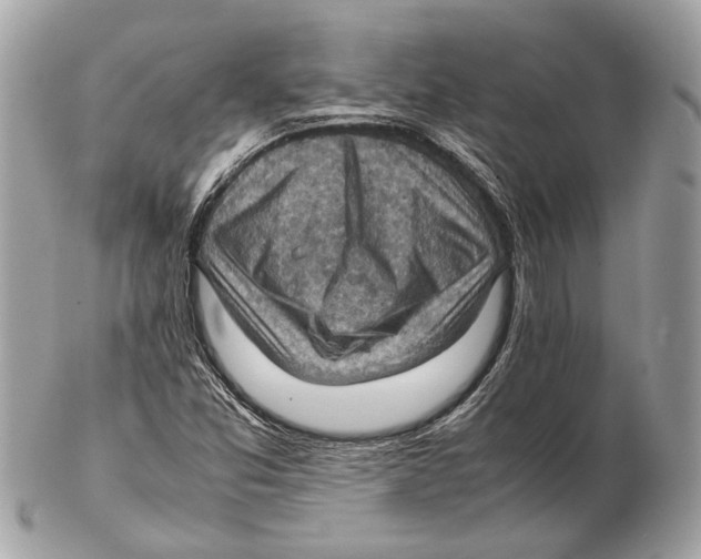 X0000102391357200808291414