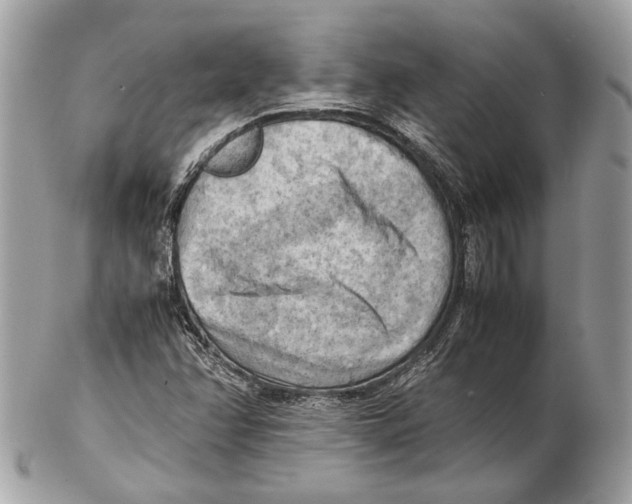 X0000102391358200808291414