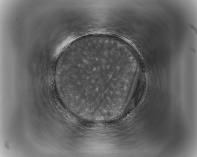 X0000102391359200808291414