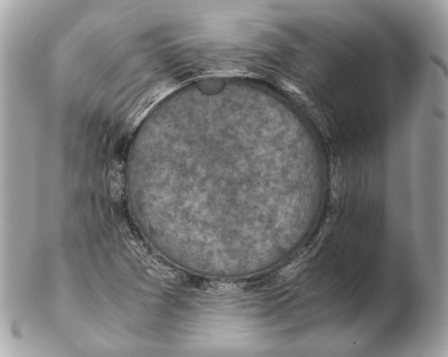 X0000102391361200808291414