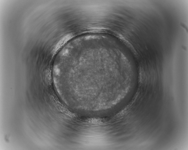 X0000102391362200808291414