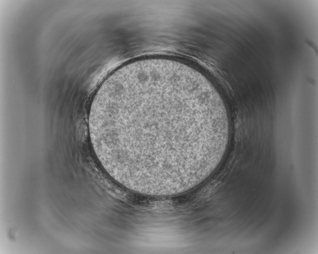 X0000102391363200808291414