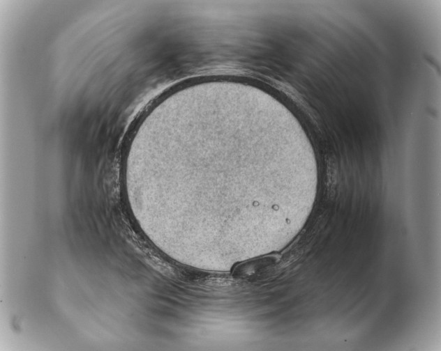 X0000102391364200808291414
