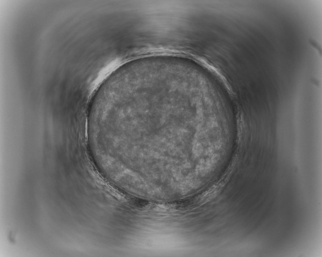 X0000102391365200808291414
