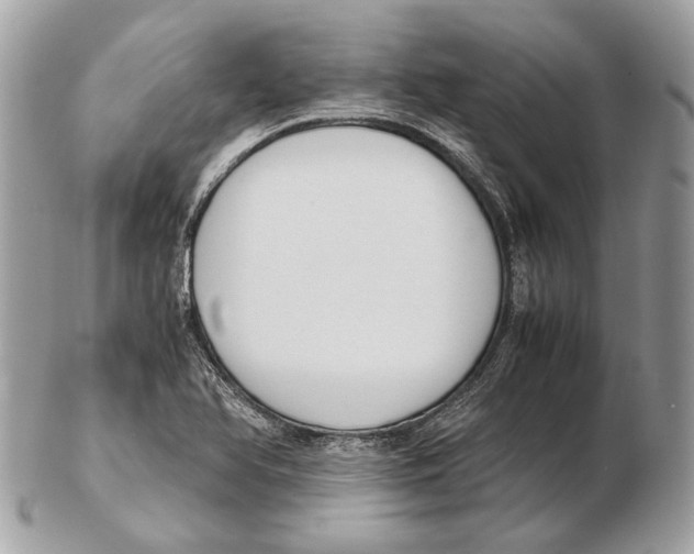 X0000102391366200808291414