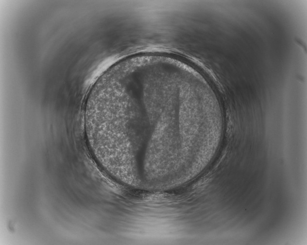 X0000102391367200808291414