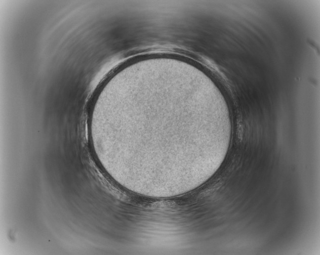 X0000102391368200808291414