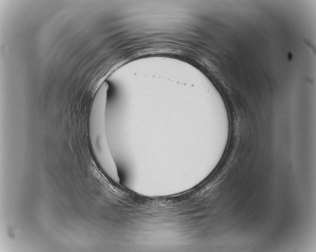 X0000102391369200808291414