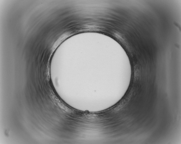X0000102391370200808291414