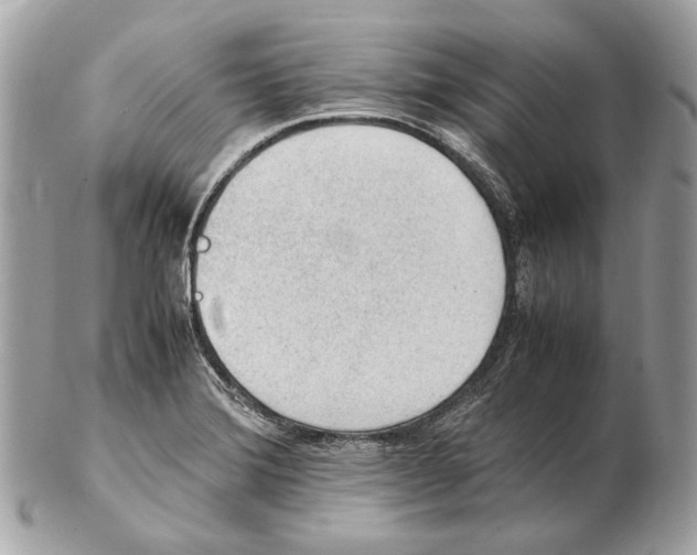 X0000102391372200808291414