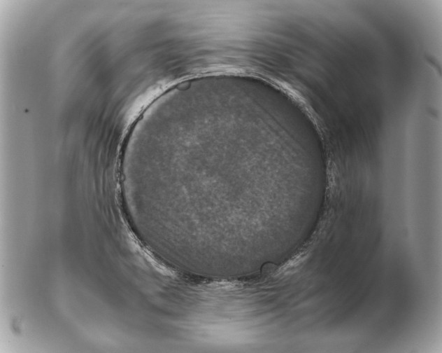 X0000102391373200808291414