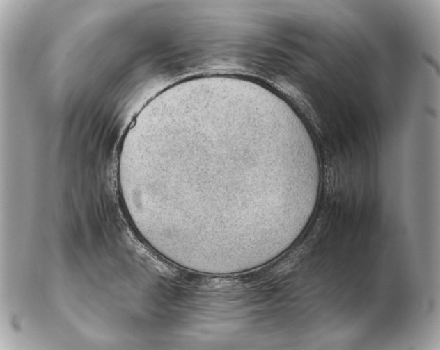 X0000102391374200808291414