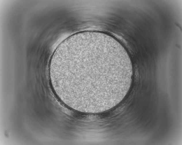 X0000102391375200808291414