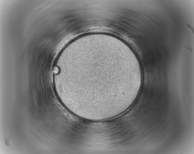 X0000102391376200808291414