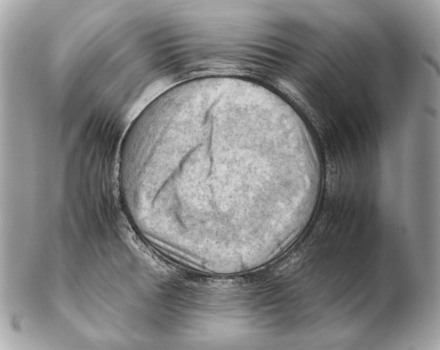 X0000102391378200808291414
