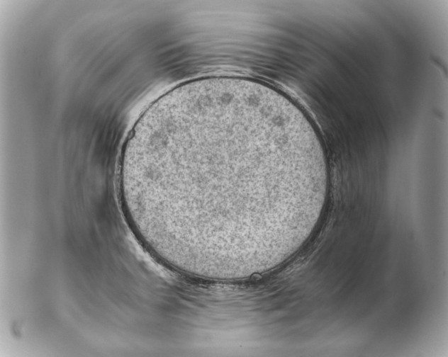 X0000102391379200808291414