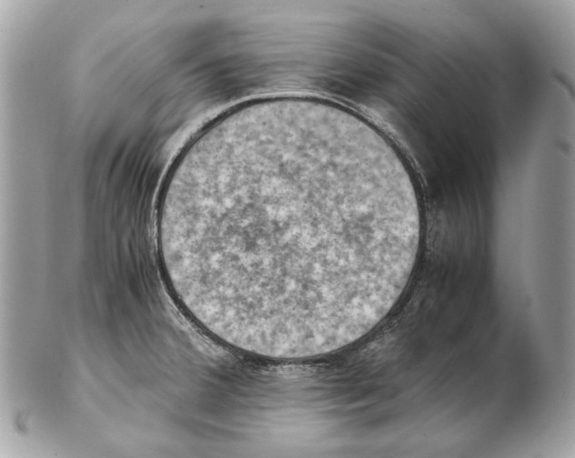 X0000102391380200808291414