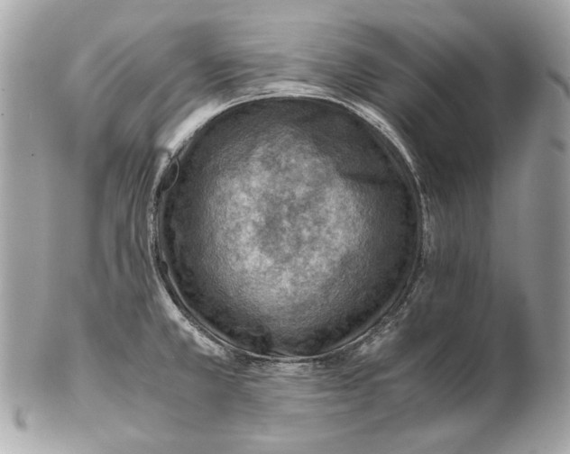 X0000102391381200808291414