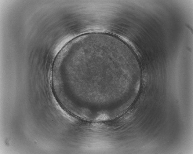 X0000102391383200808291414