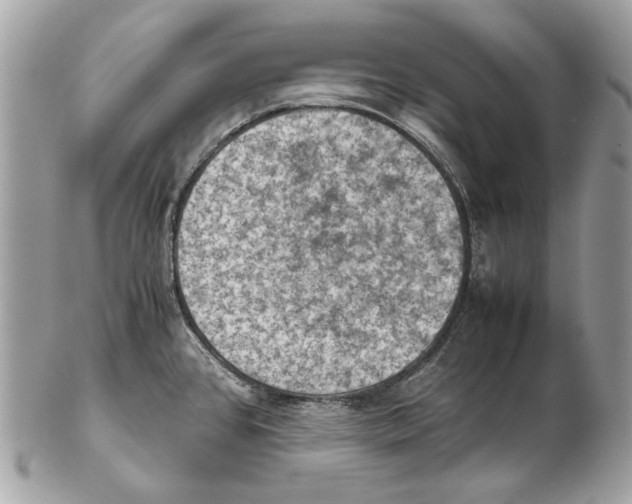 X0000102391384200808291414
