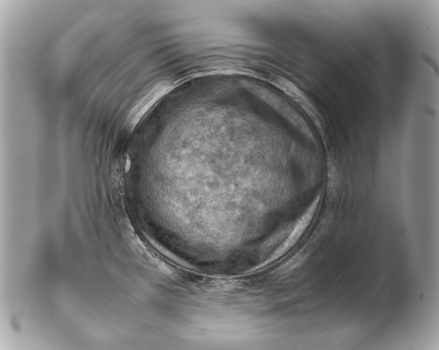 X0000102391385200808291414