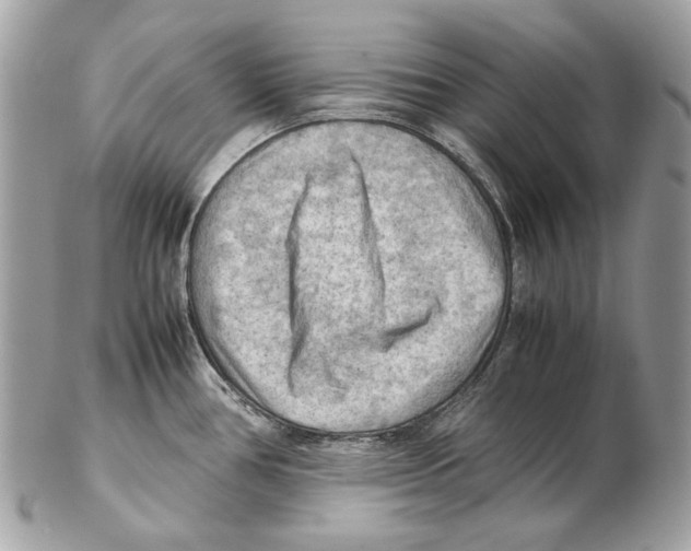 X0000102391386200808291414