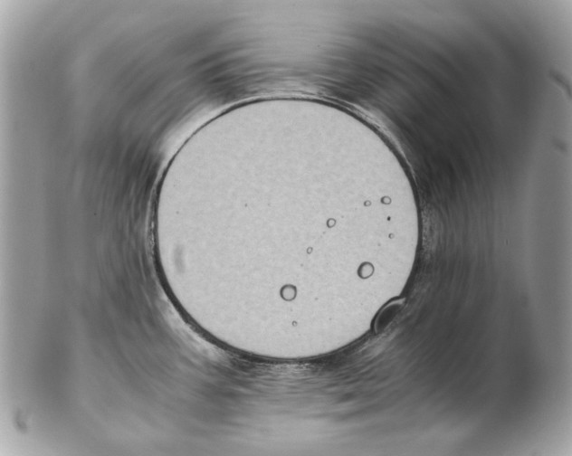 X0000102391387200808291414