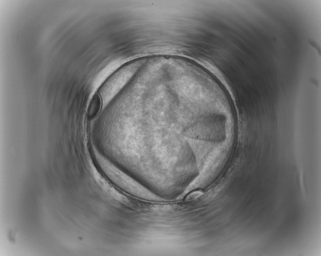 X0000102391389200808291414