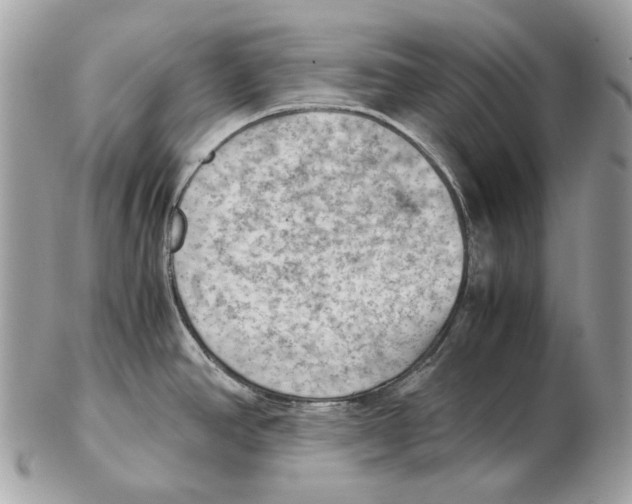 X0000102391390200808291414